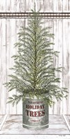 Galvanized Pot Spruce Framed Print