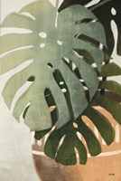 Monstera Leaves Fine Art Print