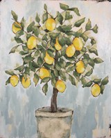 Lovely Lemons Fine Art Print