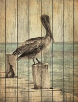 Vintage Pelican I Fine Art Print