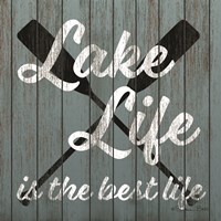 Lake Life Framed Print