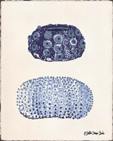 From the Sea 1 Fine Art Print