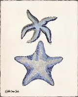 From the Sea 2 Fine Art Print