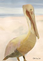 Pelican 1 Fine Art Print