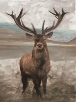 Grand Elk 1 Fine Art Print