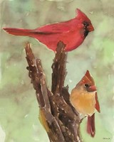 Cardinal 1 Fine Art Print