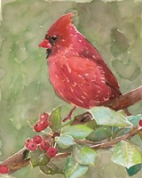 Cardinal 2 Fine Art Print