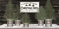 Galvanized Pots Christmas Trees II Fine Art Print