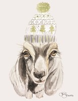 Cozy Goat Fine Art Print