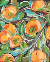 Persimmon Fine Art Print