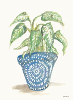 House Plant Fine Art Print