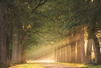 Perfect Place to Sit Fine Art Print