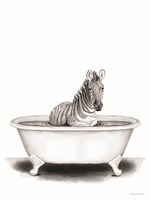 Zebra in Tub Fine Art Print