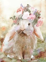 Bunny Sophia Fine Art Print