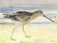 On the Beach 1 Fine Art Print