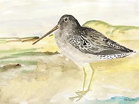 On the Beach 2 Fine Art Print