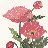 Floral Study 1 Framed Print