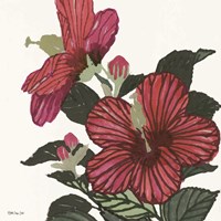 Floral Study 4 Framed Print