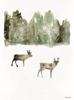 Reindeer 1 Fine Art Print