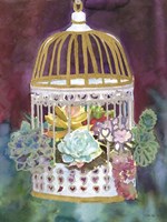 Succulent Bird House Fine Art Print