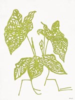 Tropical Plant 1 Fine Art Print