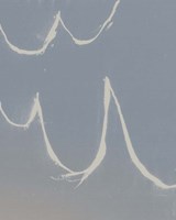 Sailing Scrawl I Fine Art Print