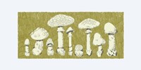 Forest Fungi I Fine Art Print