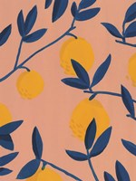 Sunlit Grove I Fine Art Print