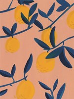 Sunlit Grove II Fine Art Print