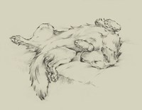 Dog Tired II Fine Art Print