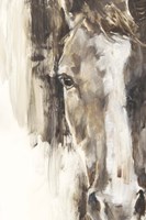 Cropped Equine Study I Fine Art Print
