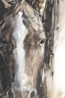 Cropped Equine Study II Fine Art Print