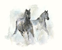 Run Free I Fine Art Print