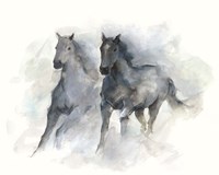 Run Free II Fine Art Print