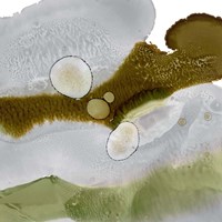 Gold Deposit II Fine Art Print