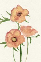 Petite Fleur IV Fine Art Print