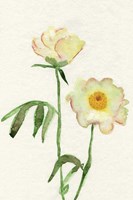 Petite Fleur V Fine Art Print