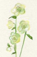 Petite Fleur VI Fine Art Print