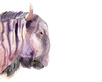 Sunset Safari V Fine Art Print