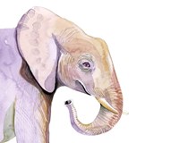 Sunset Safari VII Fine Art Print