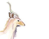 Sunset Safari IX Fine Art Print