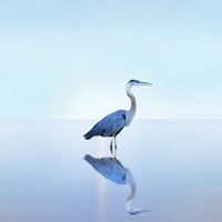 Beachscape Heron II Fine Art Print