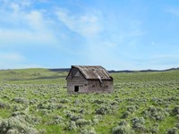 Barn Scene III Fine Art Print