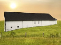 Barn Scene XIV Fine Art Print