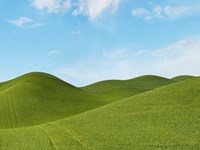 Farmscape Photo III Fine Art Print