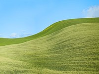 Farmscape Photo IV Fine Art Print