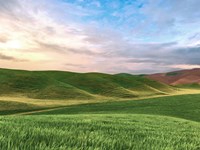 Farmscape Photo V Fine Art Print