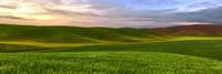 Farmscape Panorama VI Fine Art Print