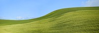 Farmscape Panorama VIII Fine Art Print