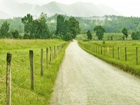Country Road Photo I Fine Art Print